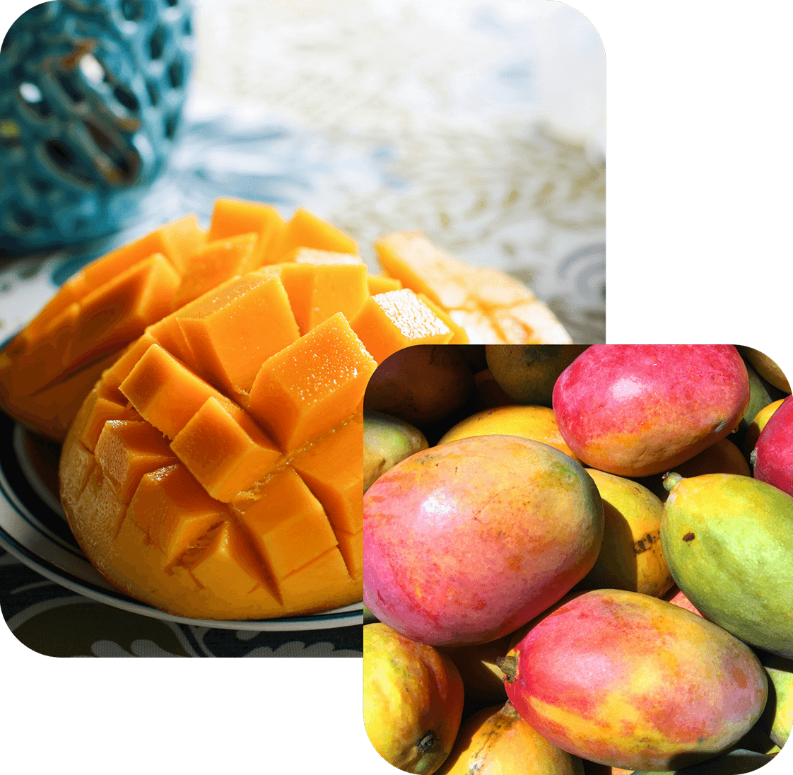Fruits