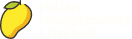 Hillah Investments Limited