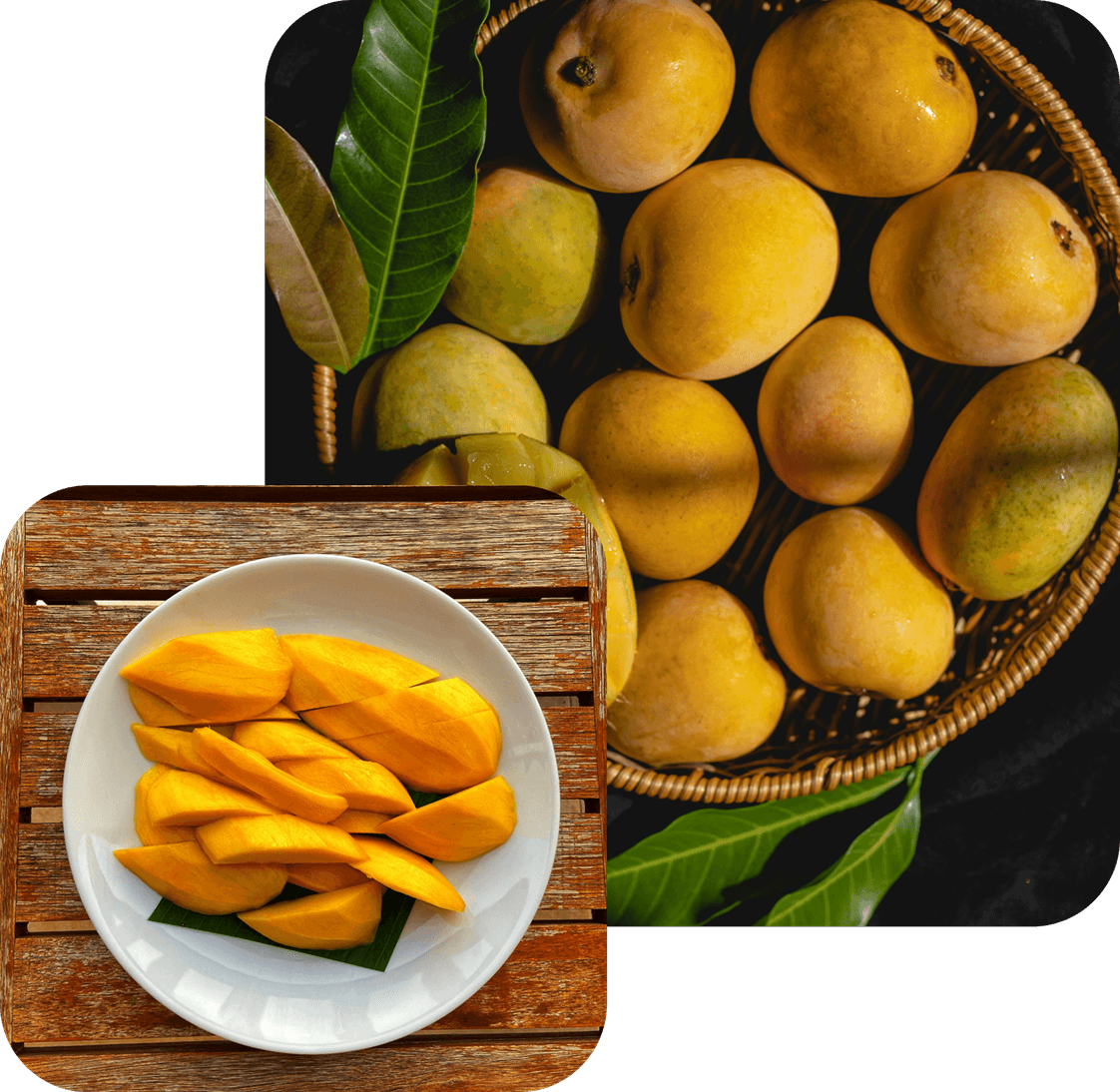 Fruits